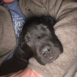 Meet your Posher, John